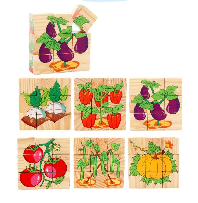 Vegetable